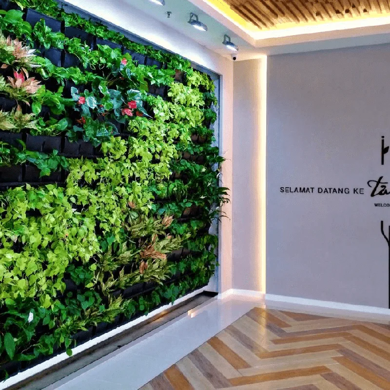 Greenwall office