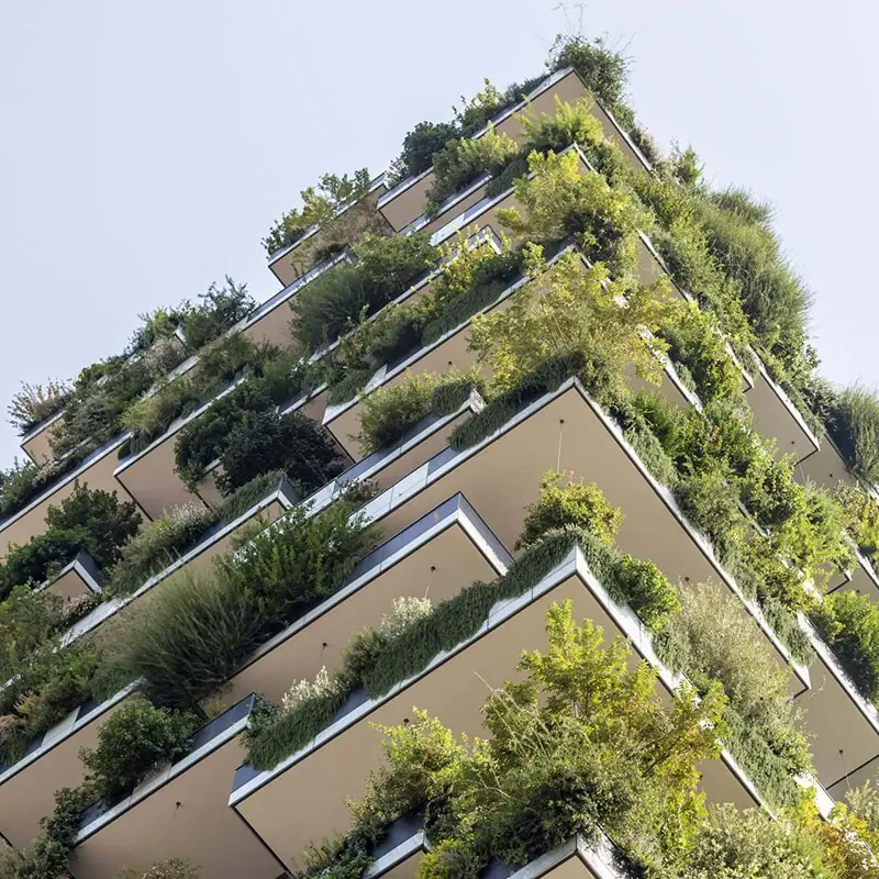 green-roof-2-scaled